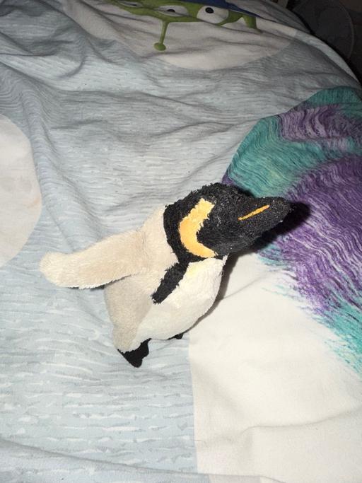 Buy & Sell Croxteth Liverpool - Photos for Small Penguin Soft Toy