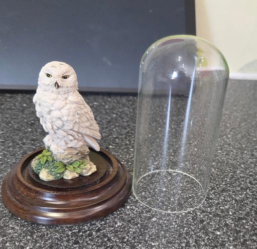 Buy & Sell Flete Thanet - Photos for SNOWY OWL COLLECTABLE
