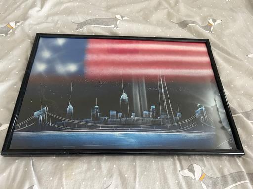Buy & Sell Stannington Sheffield - Photos for USA Spray Art Picture