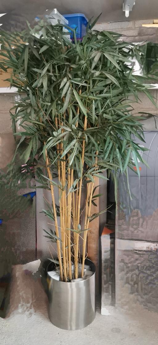 Buy & Sell Blackburn Blackburn with Darwen - Photos for 3 X-Large artificial plants
