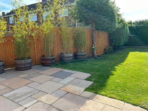 Buy & Sell Buckinghamshire Princes Risborough - HP27 - Photos for 6 large Bamboo potted plants