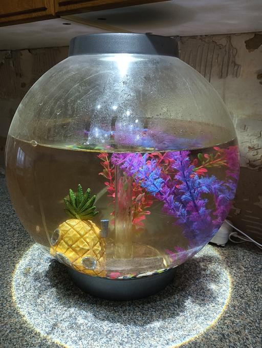 Buy & Sell Upper Gornal Dudley - Photos for Bio orb tank
