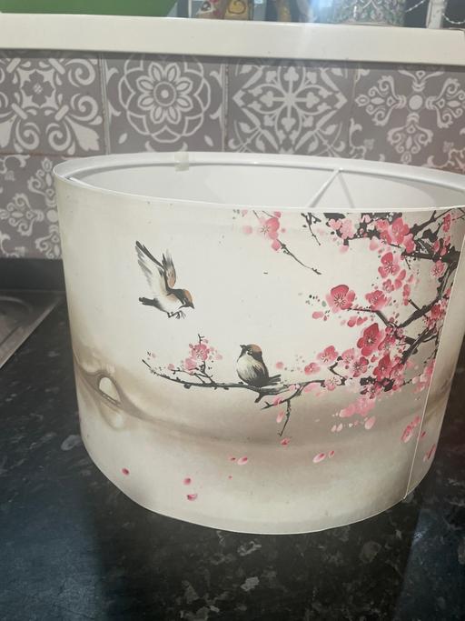 Buy & Sell Bordesley Green Birmingham - Photos for Lampshade