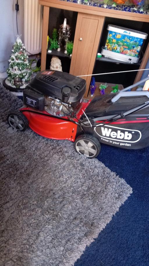 Buy & Sell Shard End Birmingham - Photos for webb petrol lawn mower brand new