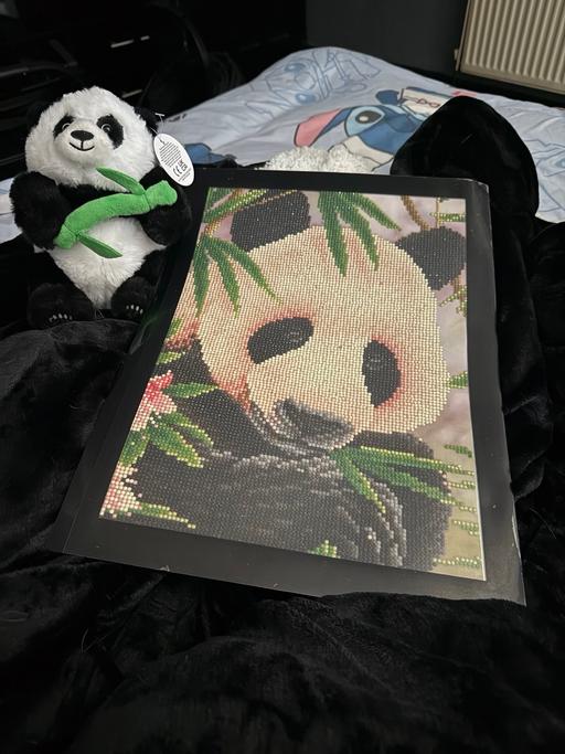 training Bradmore Wolverhampton - Photos for Panda collection