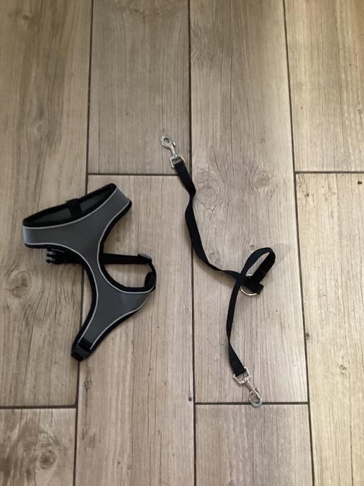 Buy & Sell Southdene Knowsley - Photos for Small dog harness