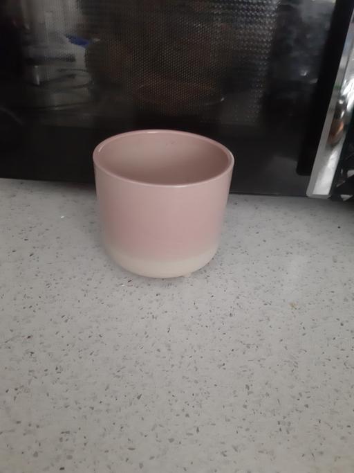 Buy & Sell South Hylton Sunderland - Photos for pot