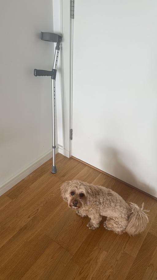 Buy & Sell Wandsworth South West London - Photos for Crutch
