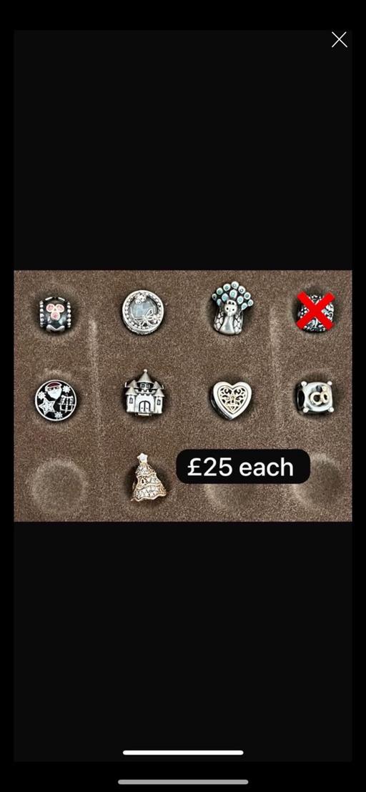 Buy & Sell Chelston Torbay - Photos for Genuine pandora charms £25 each