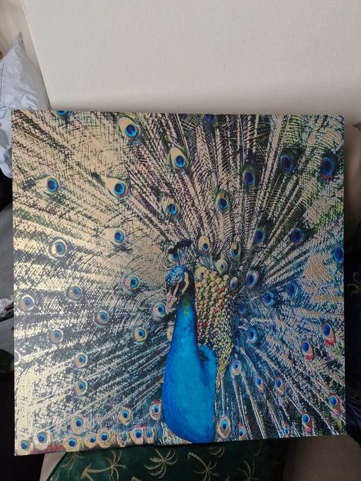 Buy & Sell Greasbrough Rotherham - Photos for large canvas