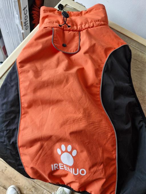 Buy & Sell Greasbrough Rotherham - Photos for large dog coat new