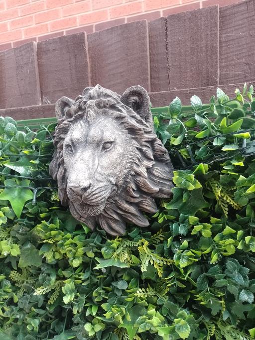 Buy & Sell Lower Gornal Dudley - Photos for Hanging Lion head garden ornament