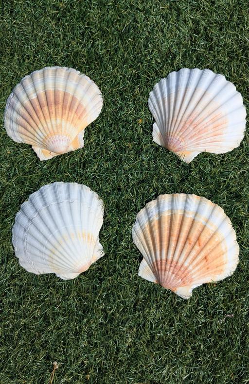 Buy & Sell Yardley Birmingham - Photos for garden decor
