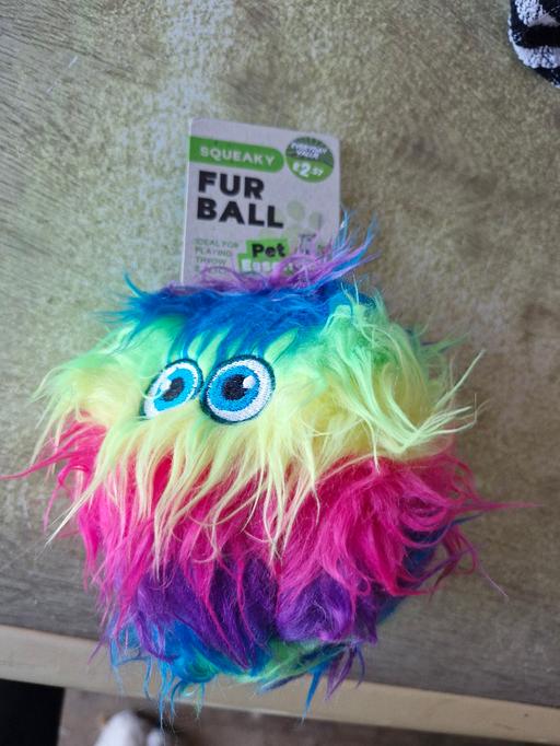 Buy & Sell Greasbrough Rotherham - Photos for dog toy