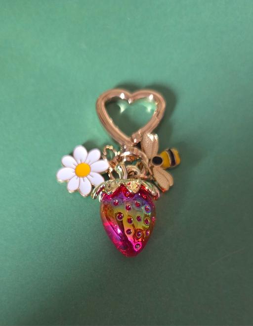Buy & Sell Westgate-on-Sea Thanet - Photos for STRAWBERRY THEME KEYRING
