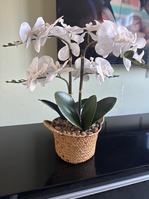 Buy & Sell Hounslow West London - Photos for Small White Artificial Plant