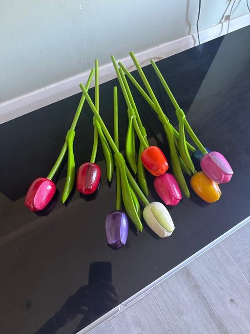 Buy & Sell Hounslow West London - Photos for Wooden Tulips