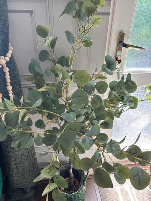Buy & Sell Bartley Green Birmingham - Photos for Artificial tree and basket