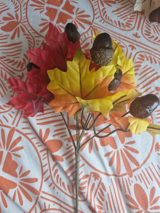 Buy & Sell Greasbrough Rotherham - Photos for new autumn 🍂 bunch acorn
