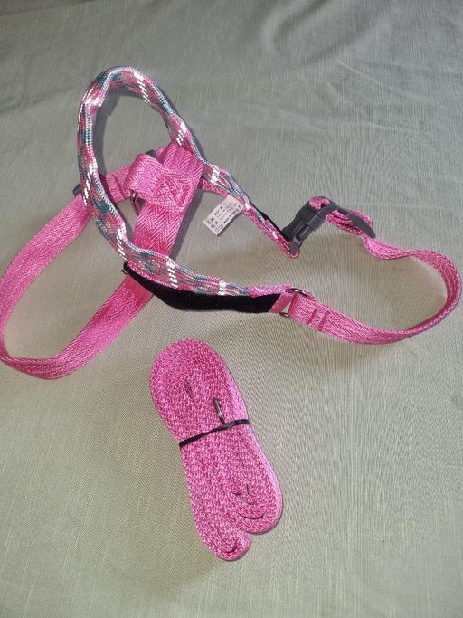 Buy & Sell Bournville Birmingham - Photos for Dog Harness Medium