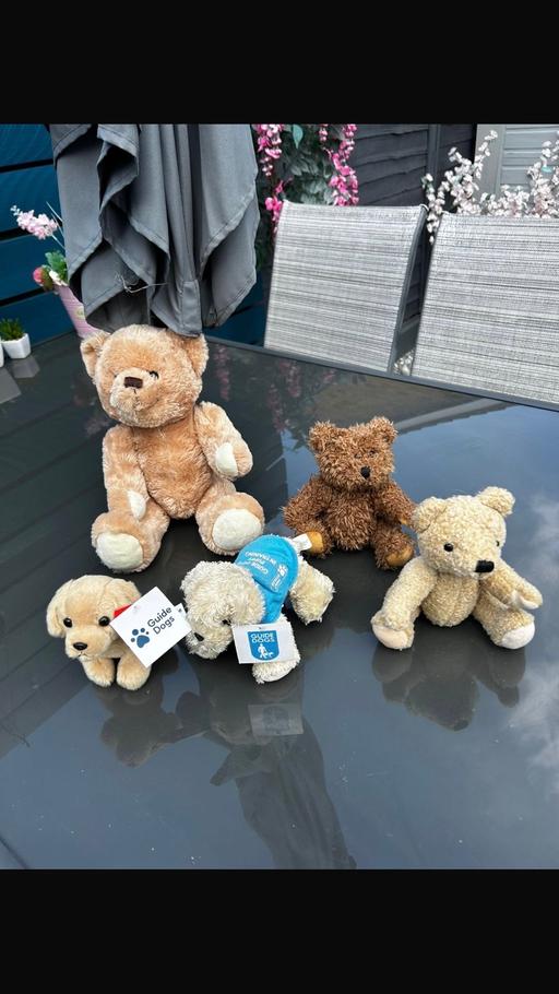 Buy & Sell Turnford Broxbourne - Photos for JOB LOT OF TEDDIES