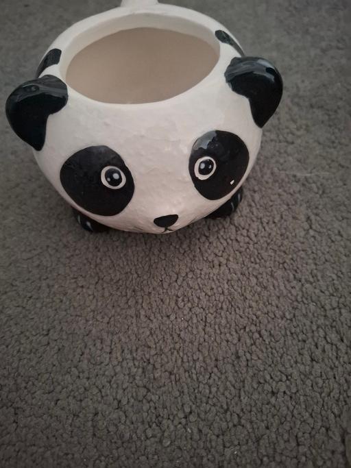Buy & Sell Dodworth Barnsley - Photos for panda pot
