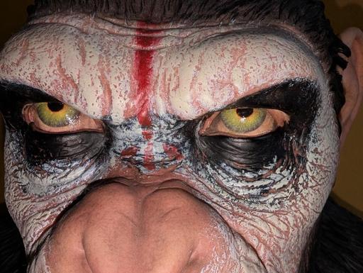 Buy & Sell Littleborough Rochdale - Photos for Planet of the apes Caesar head model Bust