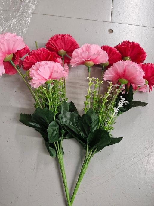 Buy & Sell Wentworth Rotherham - Photos for 2 bunches