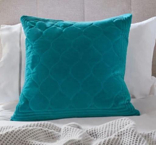 Buy & Sell Parkgate Rotherham - Photos for cushion from next