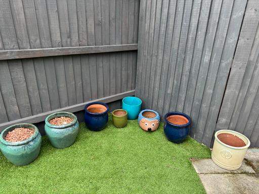 Buy & Sell Great Sankey Warrington - Photos for Selection or garden pots - free