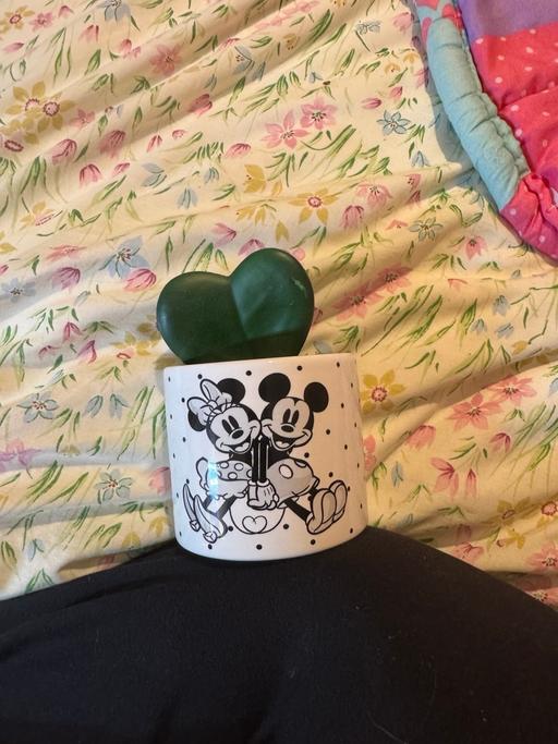 Buy & Sell Windlesham Woking - Photos for Mickey and Minnie ornament