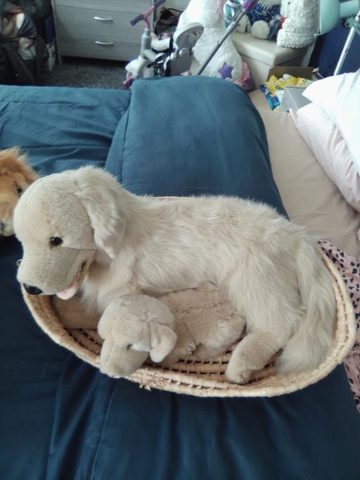 Buy & Sell Sutton Coldfield Birmingham - Photos for soft toys
