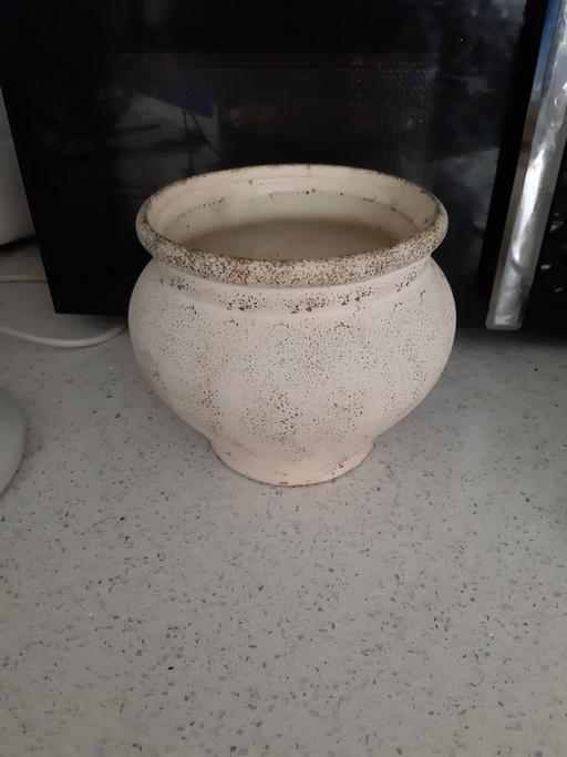 Buy & Sell South Hylton Sunderland - Photos for pot holder