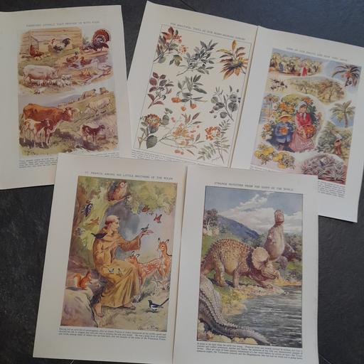 Buy & Sell Preston South Ribble - Photos for VINTAGE / ANTIQUARIAN BOOK PLATES