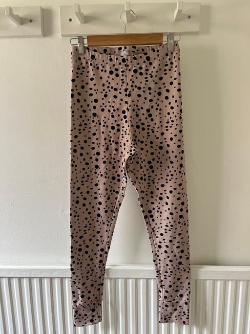 Buy & Sell Carter Knowle Sheffield - Photos for Eddie Bee leggings