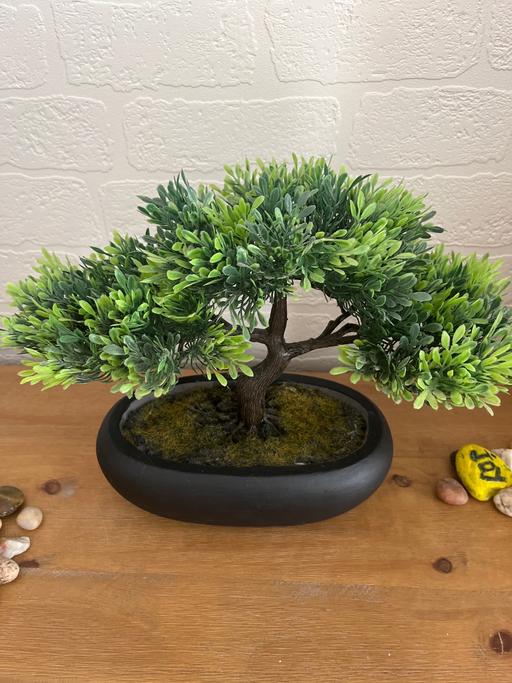 Buy & Sell Cadeby Doncaster - Photos for Artificial bonsi tree and black pot