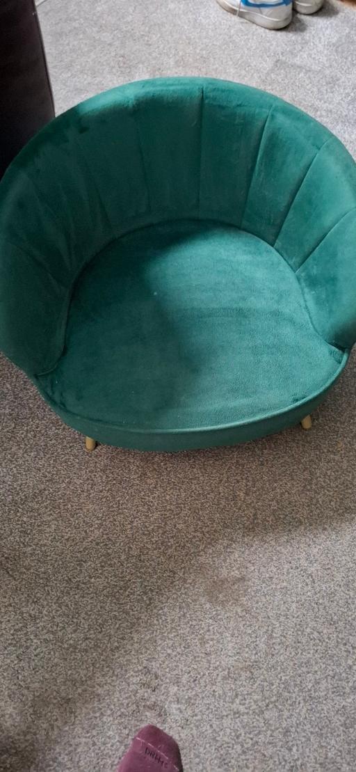 Buy & Sell Carleton Wakefield - Photos for pet chair