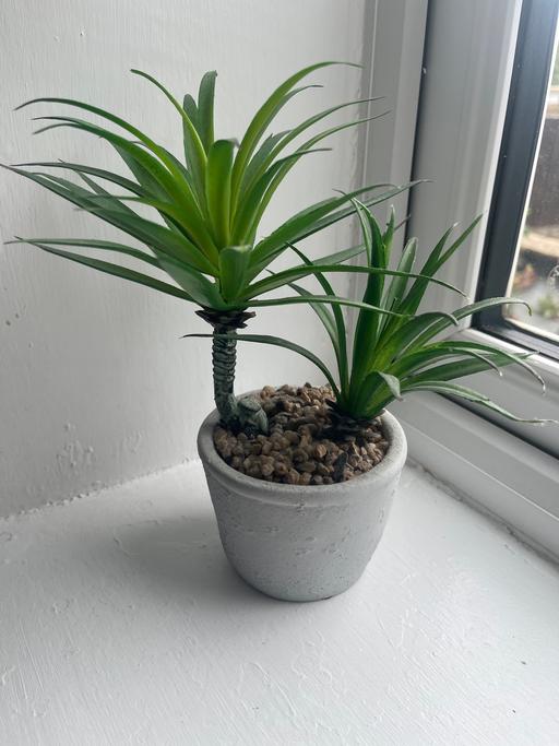 Buy & Sell Conisbrough Doncaster - Photos for Artificial plant in ceramic grey pot
