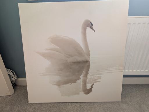 Buy & Sell Norton Canes Cannock Chase - Photos for Large Swan Canvas