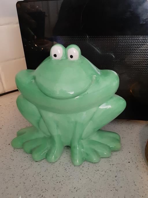 Buy & Sell South Hylton Sunderland - Photos for frog hanger