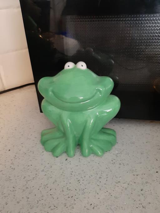Buy & Sell South Hylton Sunderland - Photos for frog hanger