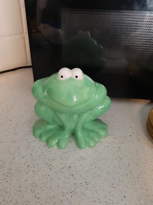 Buy & Sell South Hylton Sunderland - Photos for frog dec