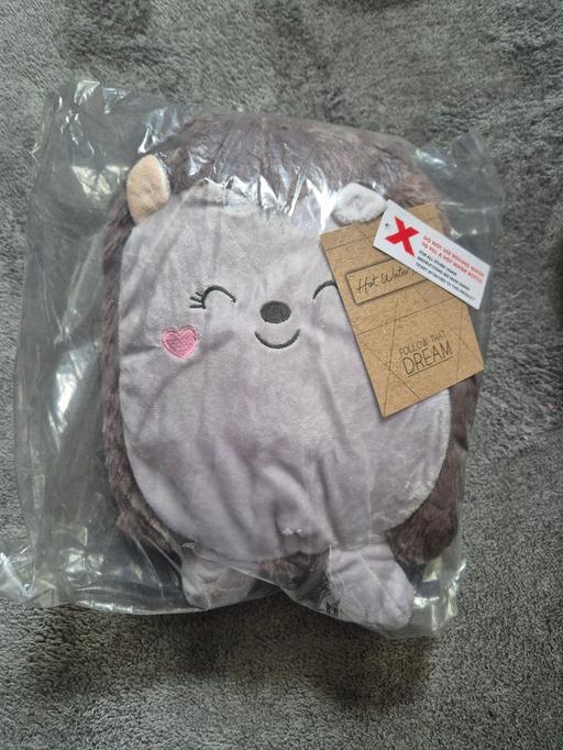 Buy & Sell Crumpsall Manchester - Photos for new Cuddly Hedgehog Hot Water Bottle
