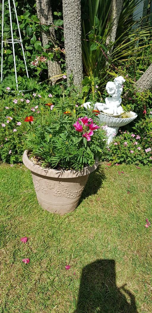 Buy & Sell Kings Norton Birmingham - Photos for planter with flowers