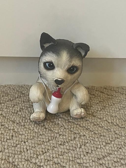 Buy & Sell Bradley Fold Bury - Photos for Interactive puppy toy