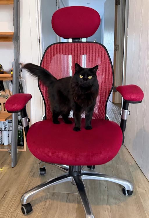 Buy & Sell Deptford South East London - Photos for Office Chair with head rest