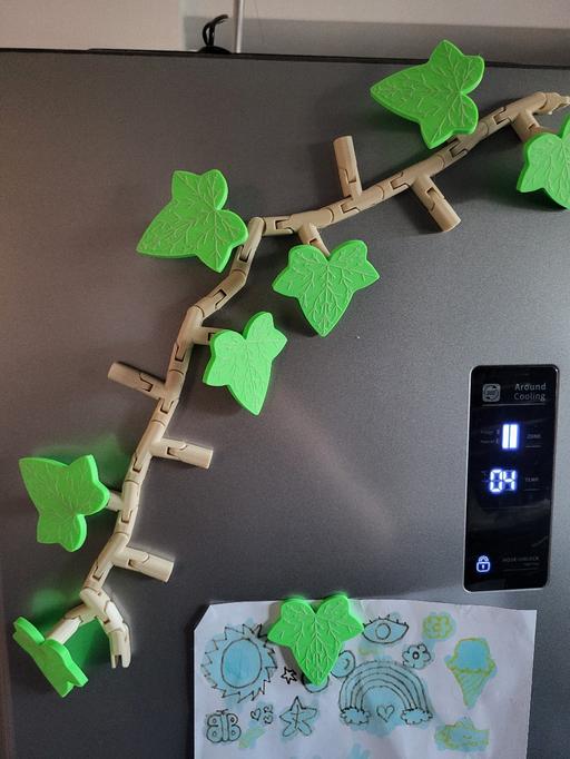 further learning Himley South Staffordshire - Photos for Ivy Vine Fridge Magnet Magnetic Leaves