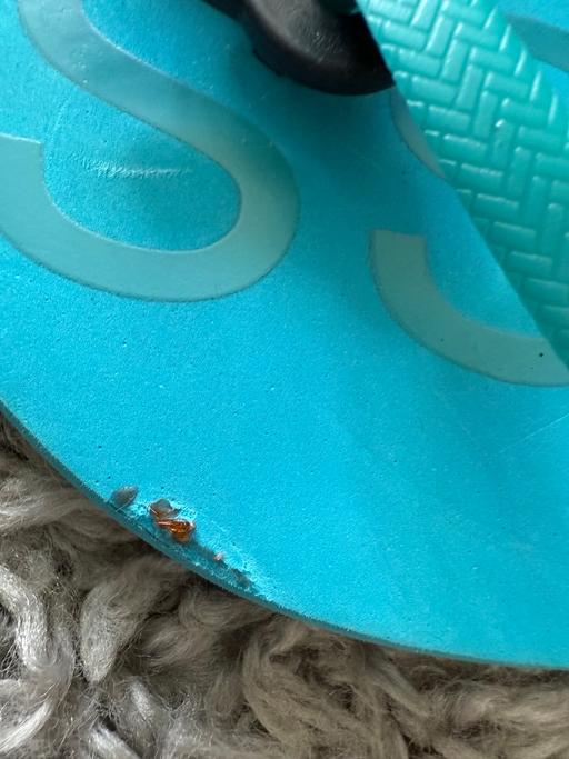 Buy & Sell Three Mile Cross Wokingham - Photos for Women’s flip flops