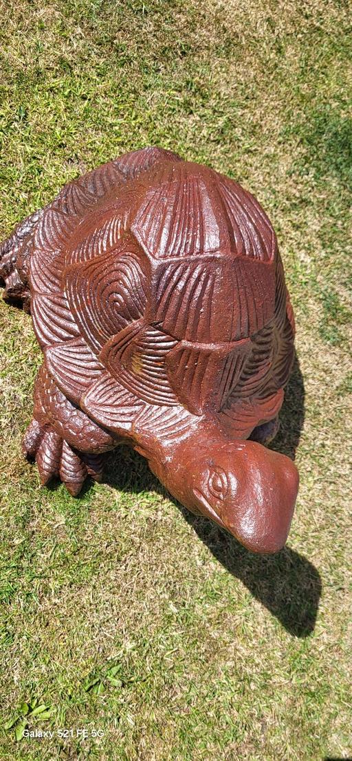 Buy & Sell Bloxwich Walsall - Photos for TORTISE