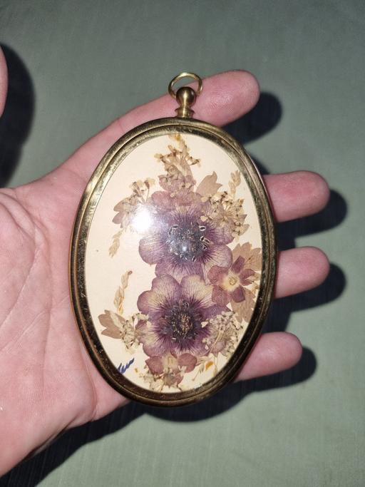 Buy & Sell Bournville Birmingham - Photos for Collectable Dried Flowers Plaque